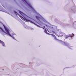 Astuces pour détacher efficacement les taches courantes découvrez des astuces efficaces pour le détachage des textiles et surfaces. apprenez à éliminer les taches tenaces de façon simple et rapide avec nos conseils d'experts.