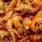 Crevettes marinées, un plat rapide et savoureux découvrez des crevettes marinées savoureuses, parfaites pour impressionner vos invités ou rehausser vos plats. cette recette simple et rapide vous permettra de savourer le goût délicat des fruits de mer, idéal pour les apéritifs ou les plats principaux.