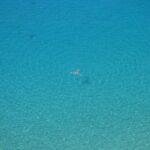 Iles flottantes express au micro-ondes, un dessert rapide et délicieux découvrez les îles flottantes, des merveilles de la nature qui semblent défier les lois de la gravité. plongez dans un monde féerique où la végétation luxuriante et les paysages enchanteurs se sont installés sur des masses d'eau, offrant une expérience unique et magique. explorez ces écosystèmes fascinants et leurs habitats uniques à travers notre article captivant.