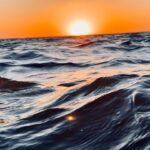 Magret de canard au four, un plat facile à préparer et toujours savoureux découvrez notre recette délicieuse de magret de canard, alliant tendreté et saveurs exquises. apprenez à préparer ce plat raffiné qui ravira vos invités et rehaussera vos dîners. idéal pour toutes les occasions !