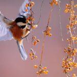 découvrez l'art de l'animation : un univers fascinant où la créativité prend vie à travers des récits captivants et des personnages mémorables. explorez les techniques, les styles et les tendances qui font de l'animation un incontournable du divertissement moderne.