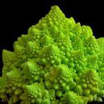 découvrez notre savoureuse recette de gratin de chou-fleur : un plat réconfortant, crémeux et doré, parfait en accompagnement ou plat principal. facile à préparer, il ravira les papilles de toute la famille !