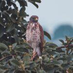 Comment organiser un jeu de piste amusant pour tous les âges participez à une chasse au trésor captivante ! explorez votre environnement tout en résolvant des énigmes et en découvrant des indices. une expérience ludique parfaite pour les amis, la famille ou les collègues. rejoignez-nous pour une aventure inoubliable !