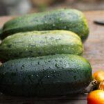 Lasagnes courgettes-chèvre, une recette pleine de douceur découvrez tout ce que vous devez savoir sur la courgette : recettes délicieuses, bienfaits nutritionnels et astuces de culture. apprenez à intégrer ce légume polyvalent dans votre alimentation pour une cuisine saine et savoureuse.