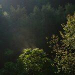 Le prénom Julien, une valeur sûre et intemporelle découvrez l'univers captivant de julien, une personnalité inspirante aux multiples facettes. explorez ses passions, ses projets et son parcours unique qui ne manquera pas de vous intriguer. plongez dans son histoire et laissez-vous inspirer par son énergie positive.