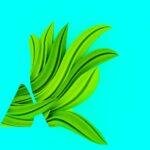 Poireaux à l’étuvée, un accompagnement simple et savoureux découvrez tout sur les poireaux : recettes savoureuses, bienfaits nutritionnels et conseils de culture pour profiter pleinement de ce légume versatile en cuisine.