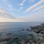 découvrez tout sur le poireau, un légume délicieux et polyvalent. apprenez à l'intégrer dans vos recettes, ses bienfaits nutritionnels et des astuces de cuisson pour profiter pleinement de ce trésor culinaire.