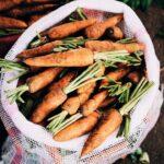 Une astuce pour garder le lait plus longtemps, éviter le gaspillage alimentaire découvrez les enjeux du gaspillage alimentaire et les solutions pour réduire notre impact sur l'environnement. apprenez des astuces pratiques pour conserver vos aliments et lutter contre le gaspillage au quotidien.