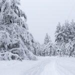 découvrez la fraîcheur à travers nos conseils et astuces pour adopter un mode de vie sain et revitalisant. apprenez à intégrer des aliments frais et des habitudes revitalisantes dans votre quotidien.