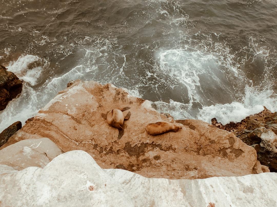 découvrez tout ce que vous devez savoir sur la rupture des eaux pendant la grossesse. apprenez à reconnaître les signes, les étapes à suivre et ce que cela signifie pour le début du travail. préparez-vous à accueillir votre bébé avec sérénité.