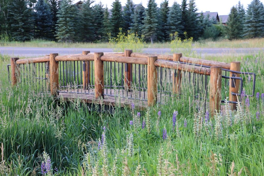 découvrez le phénomène du babillage, ce stade fascinant dans le développement du langage chez les enfants. apprenez comment cette étape essentielle contribue à l'acquisition de la parole et à l'expression des émotions, tout en favorisant les interactions sociales et la curiosité linguistique.