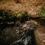 À 7 mois, votre bébé s'exprimera comme un petit perroquet ! découvrez l'univers fascinant de 'babbling', une exploration des sons et des murmures qui émergent de la communication précoce. apprenez comment ce phénomène linguistique enrichit le développement cognitif des enfants et favorise leurs premières interactions. plongez dans l'importance du babillage dans l'apprentissage des langues et le lien émotionnel entre parents et enfants.