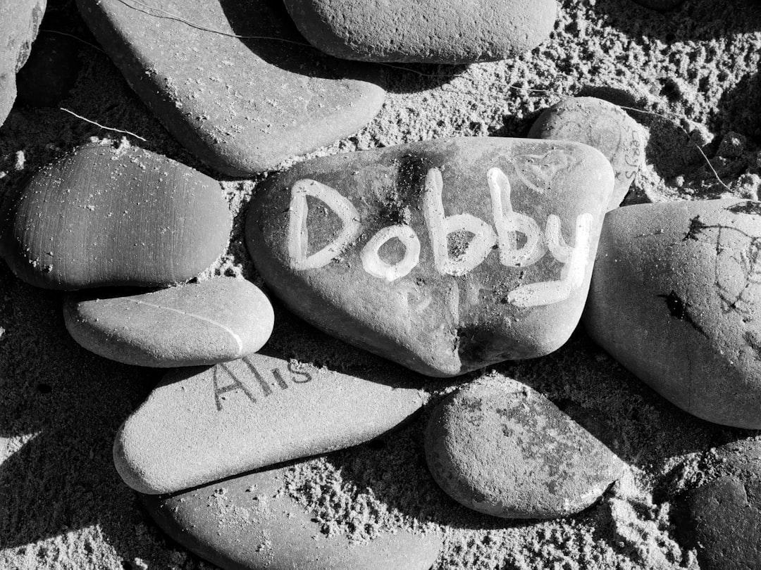 découvrez l'univers fascinant du babbling, ce phénomène linguistique où les enfants commencent à explorer les sons et le langage. apprenez comment cette étape cruciale du développement contribue à l'acquisition de la parole et à la communication, tout en aidant les parents à mieux accompagner leurs enfants dans cette aventure linguistique.