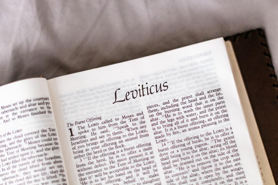 découvrez une sélection de noms bibliques riches en histoire et en signification. explorez l'origine, le sens et l'impact de ces prénoms sacrés, idéaux pour apporter une touche spirituelle et intemporelle à votre choix de nom.