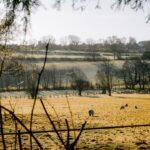 Comprendre les contractions de Braxton Hicks et leur apparence découvrez tout ce que vous devez savoir sur les contractions de braxton hicks, souvent appelées 'faux travail'. apprenez à les reconnaître, leur rôle pendant la grossesse et comment les différencier des véritables contractions. informez-vous sur cette phase importante et préparez-vous sereinement à l'accouchement.