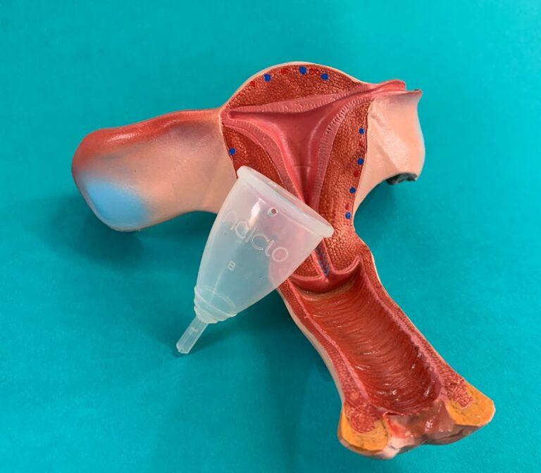 découvrez tout sur la dilatation cervicale, une étape cruciale du travail. comprenez son importance, son processus et ce à quoi vous attendre lors de cet événement clé de la grossesse.