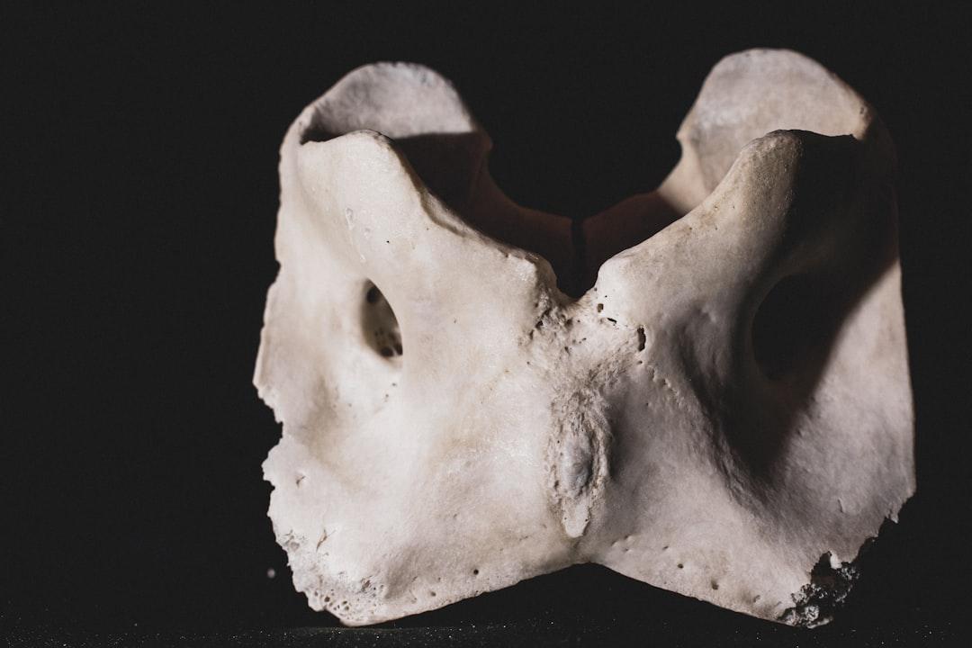 découvrez les bienfaits du colostrum, cette super-alimentation riche en nutriments, anticorps et facteurs de croissance, idéale pour renforcer votre système immunitaire et favoriser votre bien-être. apprenez comment intégrer ce complément naturel dans votre routine quotidienne.