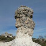 Les secrets du colostrum et ses nombreux bienfaits pour votre bébé découvrez les bienfaits du colostrum, une substance nutritive riche en anticorps et en facteurs de croissance, idéale pour renforcer votre système immunitaire et améliorer votre santé. apprenez comment intégrer ce super aliment dans votre alimentation pour optimiser votre bien-être au quotidien.