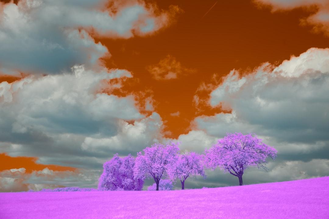 découvrez l'art de l'interprétation des rêves et plongez dans l'univers fascinant de votre subconscient. apprenez à déchiffrer les symboles et les messages de vos rêves pour mieux comprendre vos émotions et vos aspirations. une exploration enrichissante pour ceux qui cherchent à donner un sens nouveau à leurs nuits.