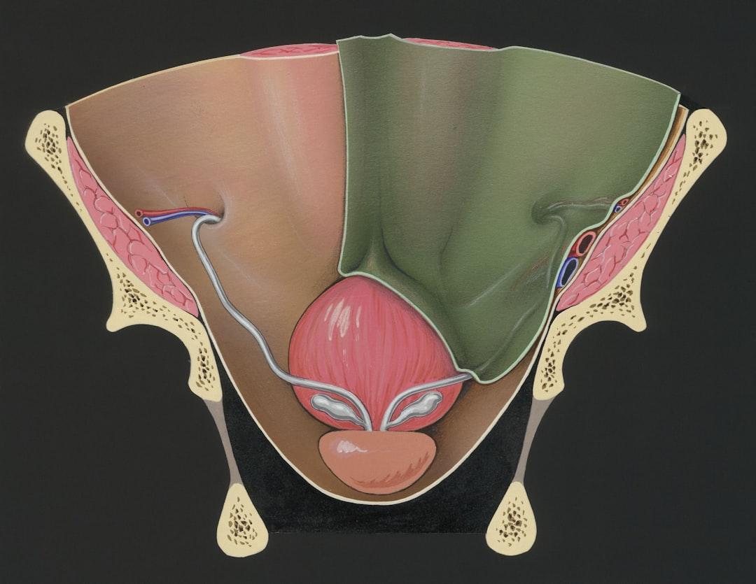 découvrez tout ce que vous devez savoir sur les infections de l'oreille : symptômes, causes, traitements et conseils pour prévenir ce problème courant. protégez l'audition de vos proches avec nos recommandations.