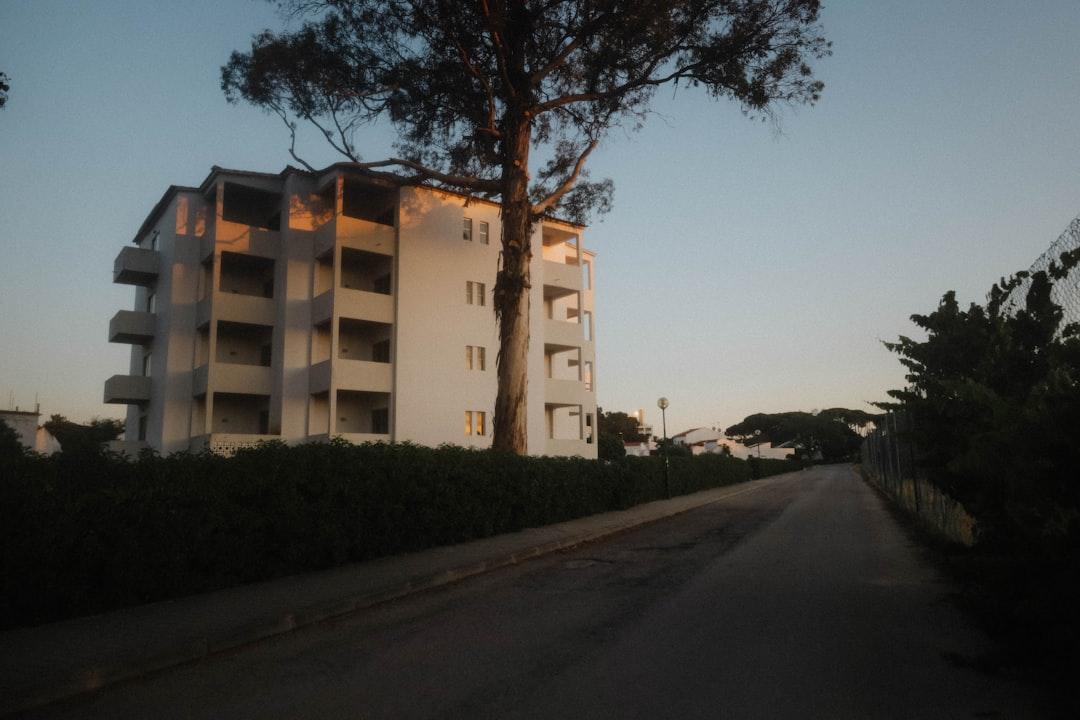 découvrez tout sur la fontanelle, cette zone souple du crâne des nourrissons qui joue un rôle crucial dans leur croissance. apprenez son évolution, son importance et les soins à lui apporter pour assurer le bien-être de votre bébé.