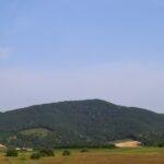 découvrez tout ce qu'il faut savoir sur la fontanelle, cette zone molle du crâne des bébés, son importance pour le développement, les différents types et quand s'inquiéter. informez-vous sur les soins à apporter et les visites médicales nécessaires.