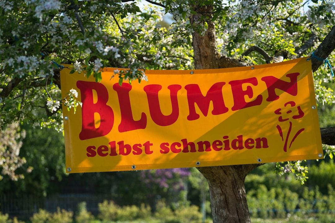 découvrez une sélection de prénoms allemands pour garçons, alliant tradition et modernité. trouvez l'inspiration pour votre futur enfant avec des noms uniques et significatifs provenant de la culture allemande.