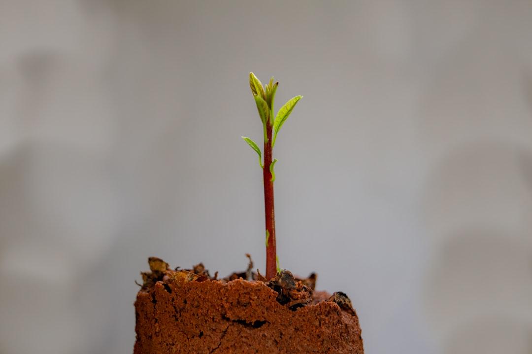 découvrez la courbe de croissance, un outil essentiel pour visualiser et analyser l'évolution des performances au fil du temps. apprenez comment cet indicateur peut vous aider à prendre des décisions éclairées pour le développement de votre entreprise.