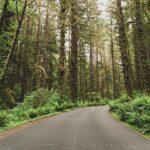 Comprendre la courbe de croissance de votre bébé au cours des 24 premiers mois découvrez comment la courbe de croissance peut vous aider à analyser et à optimiser le développement de votre entreprise. apprenez les principes fondamentaux et les applications pratiques pour stimuler la croissance et atteindre vos objectifs.