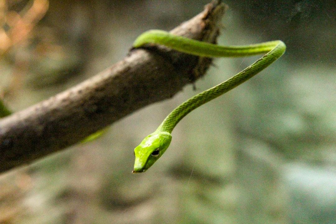 découvrez le concept de la courbe de croissance, un outil essentiel pour analyser le développement d'une entreprise ou d'un marché. apprenez à interpréter les données de croissance et à optimiser votre stratégie pour atteindre vos objectifs de performance.