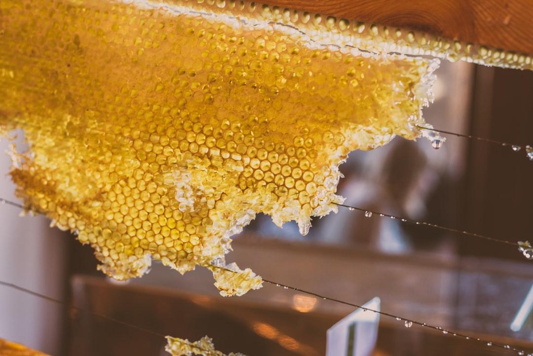 découvrez le miel, cet or liquide aux multiples bienfaits. que ce soit pour sucrer vos plats, renforcer votre système immunitaire ou profiter de ses vertus antiseptiques, le miel est un trésor de la nature à intégrer dans votre quotidien.