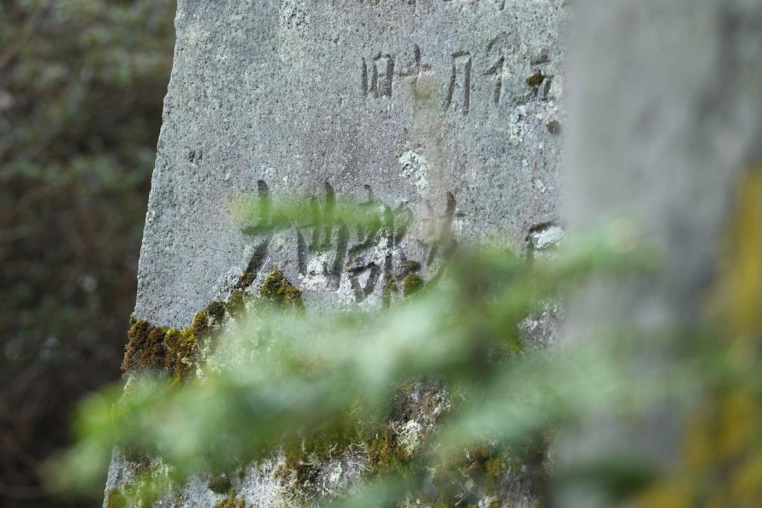 découvrez notre sélection de noms masculins japonais uniques et significatifs. explorez leur origine, leur signification et trouvez le prénom parfait pour votre petit garçon.