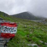 Mon petit trésor a atteint ses 24 mois : un cap de deux ans rempli de découvertes ! découvrez milestone, une plateforme innovante dédiée à la gestion de projets, qui facilite la planification, le suivi et la collaboration d'équipe. optimisez votre efficacité et atteignez vos objectifs avec des outils adaptés à vos besoins.