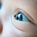 La vision des nouveau-nés : développement, capacités et portée de leur regard découvrez comment se développe la vision des nouveau-nés, les étapes clés de leur capacité à voir et les conseils pour stimuler leur éveil visuel. apprenez l'importance de la lumière, des couleurs et des formes dans le développement précoce de votre bébé.