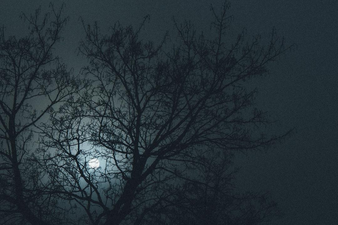 découvrez comment gérer l'anxiété de séparation nocturne chez les enfants. des conseils pratiques et des stratégies pour rassurer votre petit et favoriser un sommeil serein.