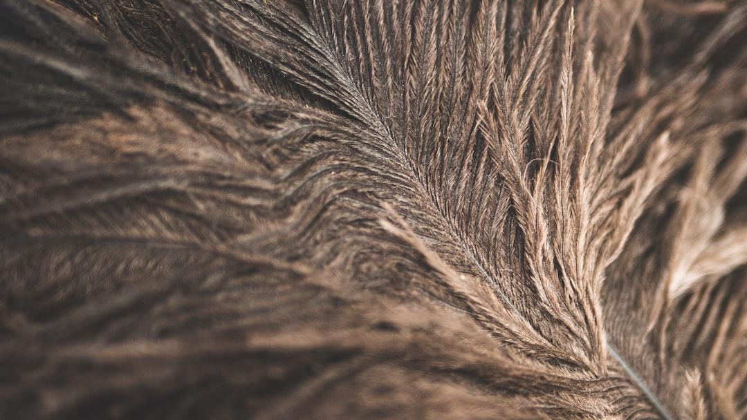 découvrez les causes et solutions pour la perte de cheveux postpartum. apprenez à gérer cette période délicate après l'accouchement et retrouvez volume et éclat pour vos cheveux.