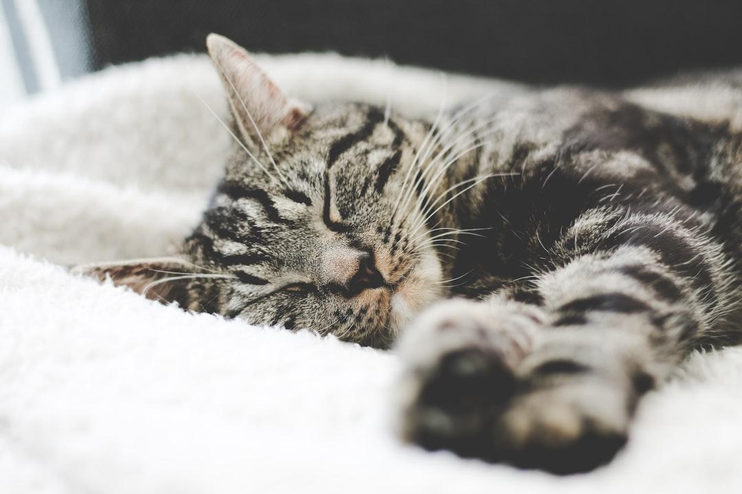 découvrez l'importance du sommeil pour votre santé physique et mentale. apprenez des astuces pour améliorer la qualité de votre sommeil et retrouver un équilibre dans votre vie quotidienne.