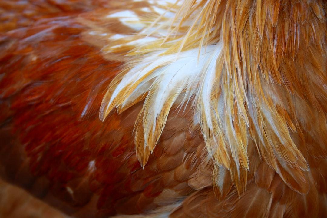 découvrez tout ce qu'il faut savoir sur la varicelle : symptômes, transmission, prévention et traitements pour protéger petits et grands contre cette maladie virale courante.