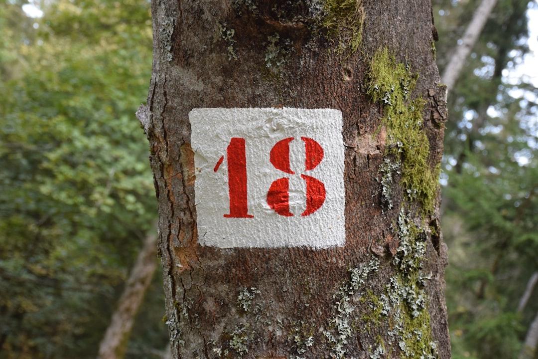découvrez ce qu’est l’âge corrigé (corrected age), comment il est calculé et pourquoi il est important pour le suivi du développement des bébés prématurés. explications et exemples concrets.