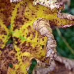 Comprendre la déshydratation chez les bébés : comment la prévenir, reconnaître les symptômes et trouver les traitements appropriés découvrez tout ce qu'il faut savoir sur la déshydratation : ses causes, ses symptômes, ses conséquences sur la santé et les solutions pour rester hydraté au quotidien.