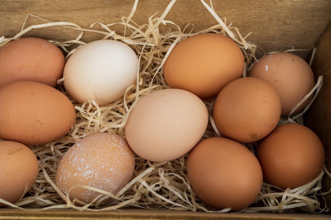 découvrez les bienfaits nutritifs des œufs, une source de protéines de haute qualité. apprenez comment les intégrer dans vos recettes pour un repas équilibré et savoureux.