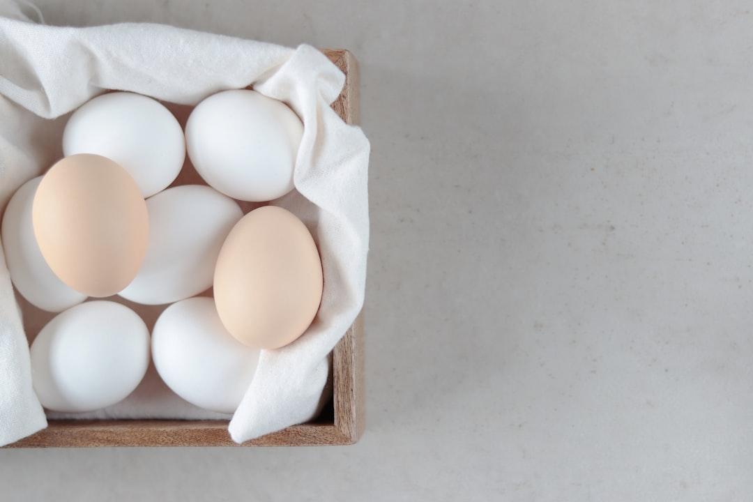découvrez tout sur les œufs : des recettes savoureuses aux bienfaits nutritionnels, en passant par les astuces de cuisson. apprenez à intégrer cet ingrédient polyvalent dans votre cuisine au quotidien.