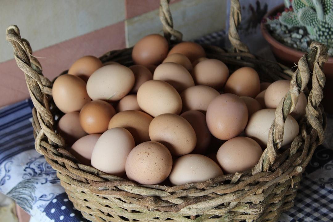 découvrez tout sur les œufs : leurs bienfaits nutritionnels, différentes recettes pour les cuisiner, ainsi que des conseils d'achat et de conservation. les œufs, un ingrédient polyvalent et essentiel dans votre cuisine !