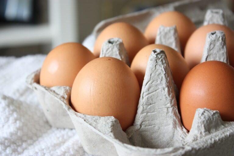 découvrez tout sur les œufs : leurs bienfaits nutritionnels, des recettes savoureuses et des conseils pour les cuisiner. que vous soyez amateur d'omelettes ou de gâteaux, les œufs sont des ingrédients essentiels dans votre cuisine !