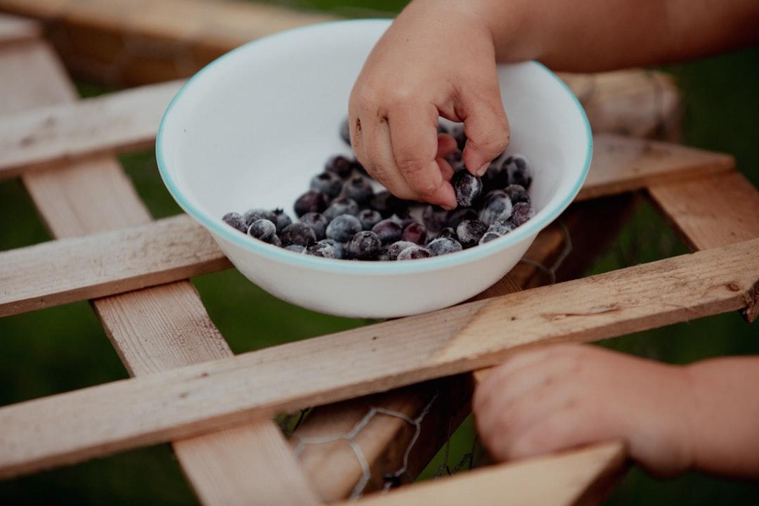 découvrez une sélection de snacks healthy, savoureux et faciles à préparer pour une pause gourmande et équilibrée tout au long de la journée. idéal pour garder la forme sans culpabiliser !