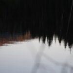 Les réflexes innés chez le nourrisson et leur importance dans le développement découvrez ce que sont les réflexes innés, leur rôle essentiel dans le développement du nourrisson et comment ils influencent nos réactions automatiques dès la naissance.