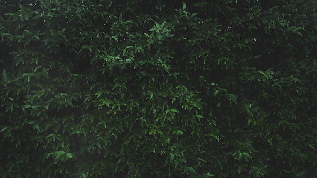 découvrez tout ce que vous devez savoir sur les lochies, un phénomène naturel qui se produit après l'accouchement. informez-vous sur leur aspect, leur durée et leur importance pour la santé postnatale.