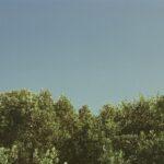 Tout savoir sur les lochies : les saignements post-accouchement expliqués découvrez tout sur les lochies, ces écoulements post-accouchement. informez-vous sur leur durée, leur aspect et les soins à apporter pour une récupération optimale après la naissance de votre enfant.