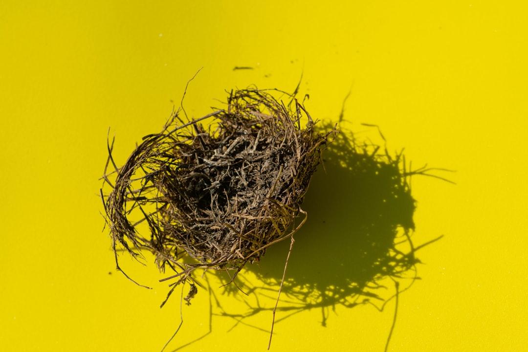 découvrez le nesting, une méthode d'optimisation de l'espace utilisée dans de nombreux domaines pour agencer efficacement des formes ou des objets. apprenez comment le nesting peut améliorer la gestion des matériaux, réduire les coûts et maximiser la productivité.