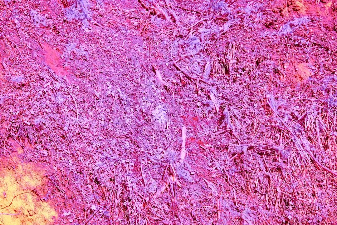découvrez ce qu'est le placenta accreta, ses causes, symptômes, risques et options de traitement. informez-vous sur cette complication rare de la grossesse pour une prise en charge optimale.